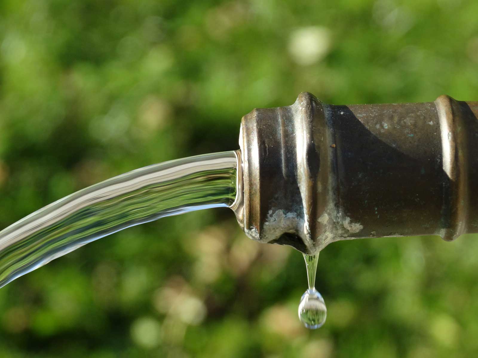 Ozonosoluzioni.it - Agricoltura e viticoltura - Acqua ozonizzata - 01